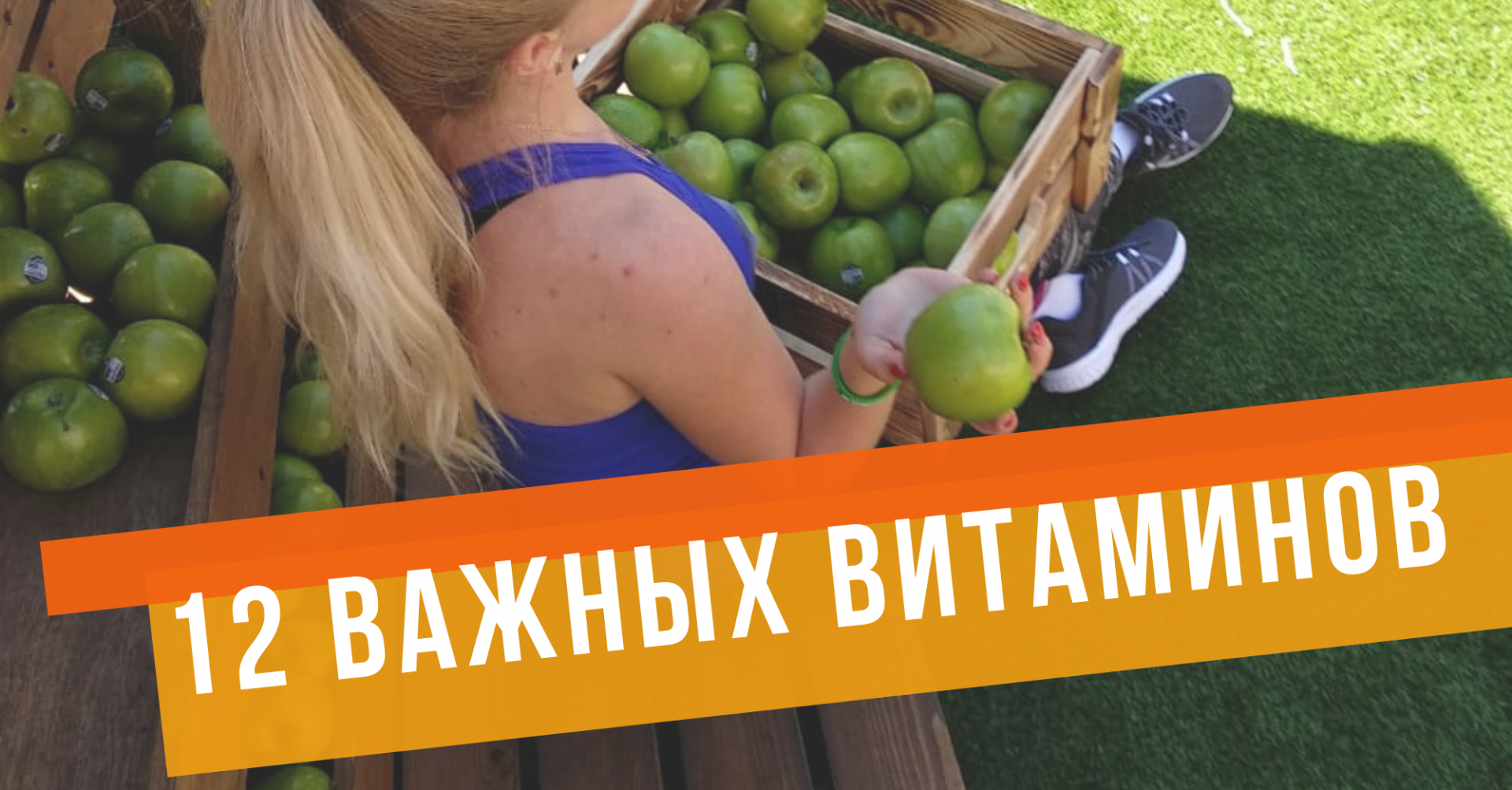12 ВИТАМИНОВ И МИКРОЭЛЕМЕНТОВ НЕОБХОДИМЫХ ДЛЯ НАШЕГО ОРГАНИЗМА