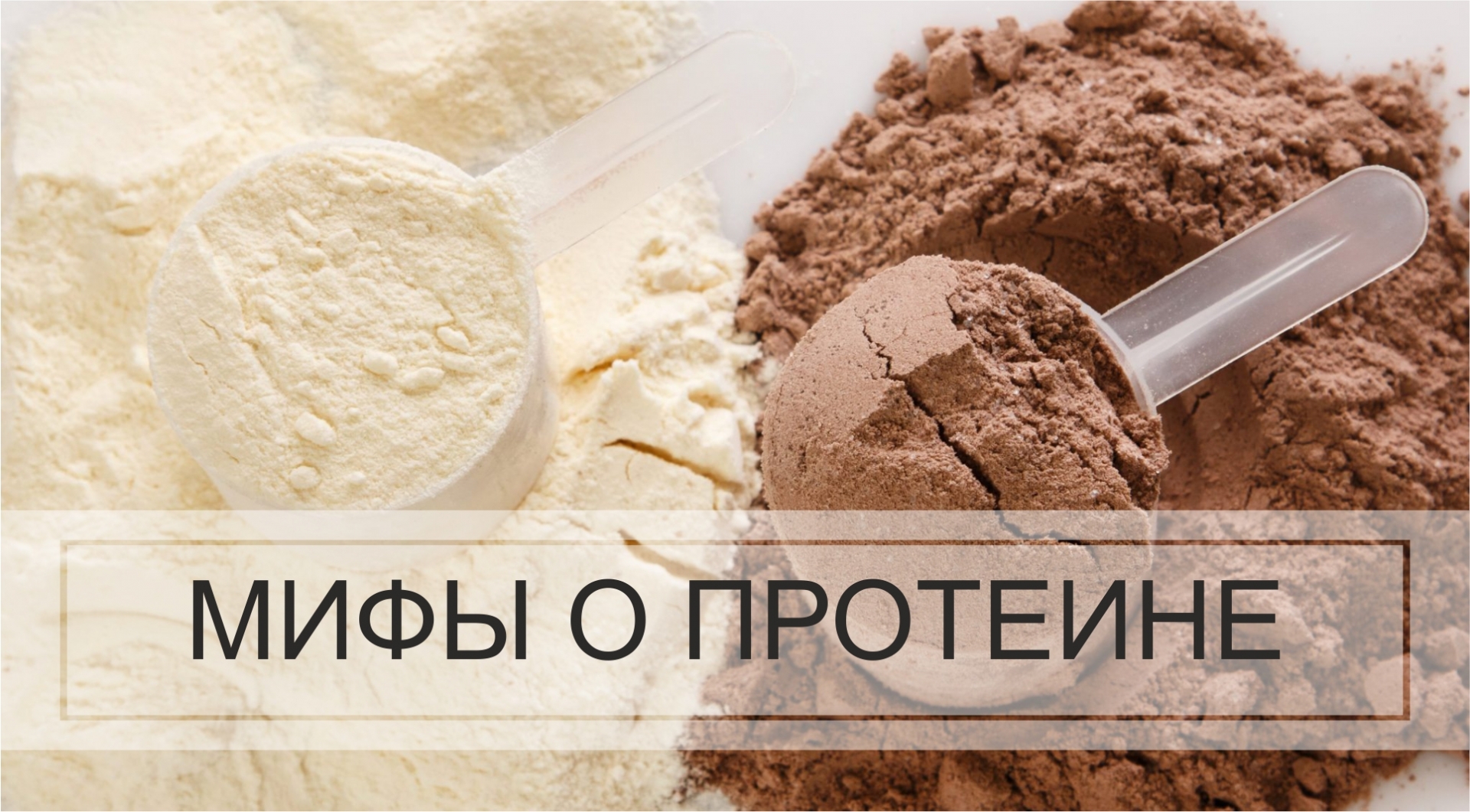 Мифы о протеине